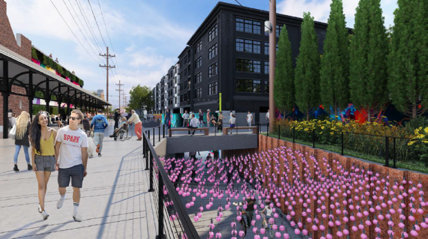 Looking North from North Side of 116th Street